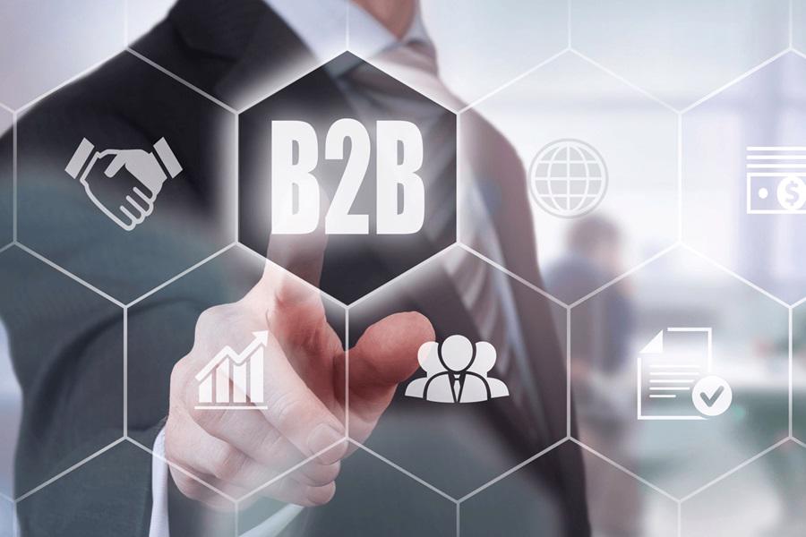 Platformele de Comenzi B2B: O Solutie Inovatoare pentru Distribuitori si Producatori